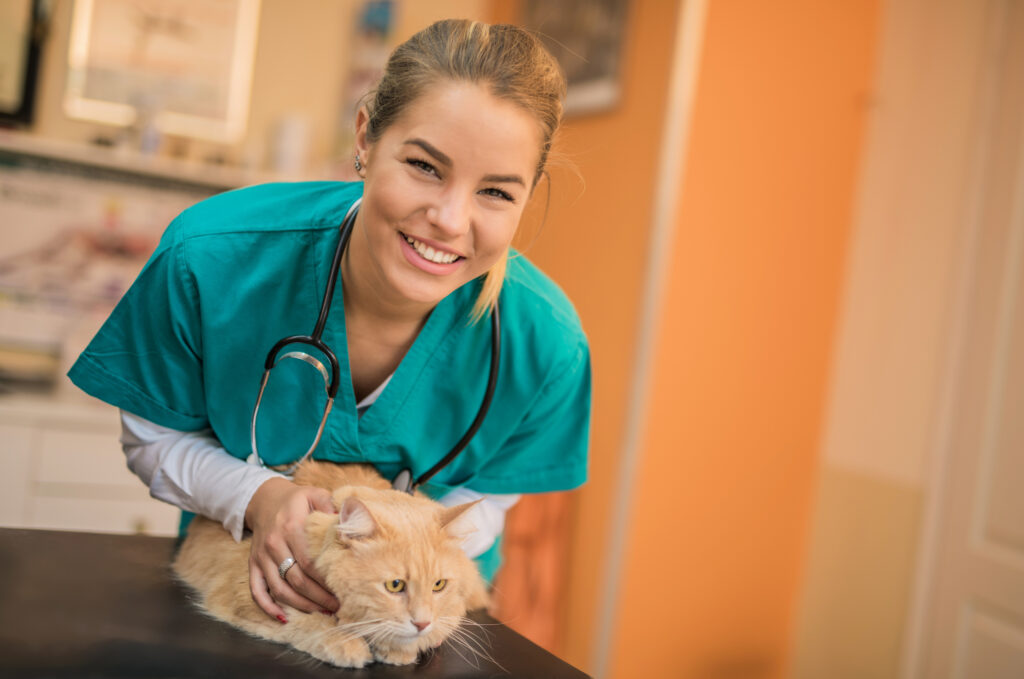 Nurse holding a cat