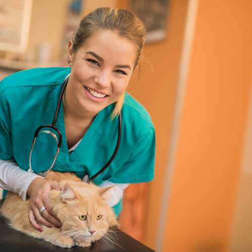 Nurse holding a cat